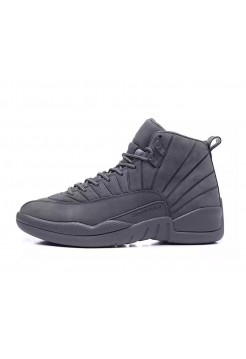 Air Jordan 12